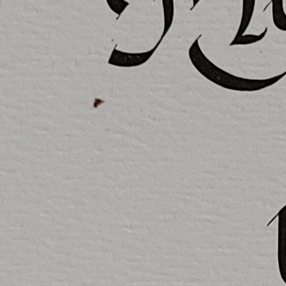 1995 Jean Drolet Cat Print My Cat Lets Me Live Here ADORABLE Fun and Funny - Picture 6 of 6